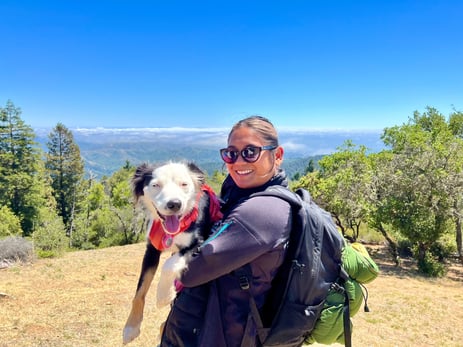A recent hike with Roxy on Mount Tamalpais